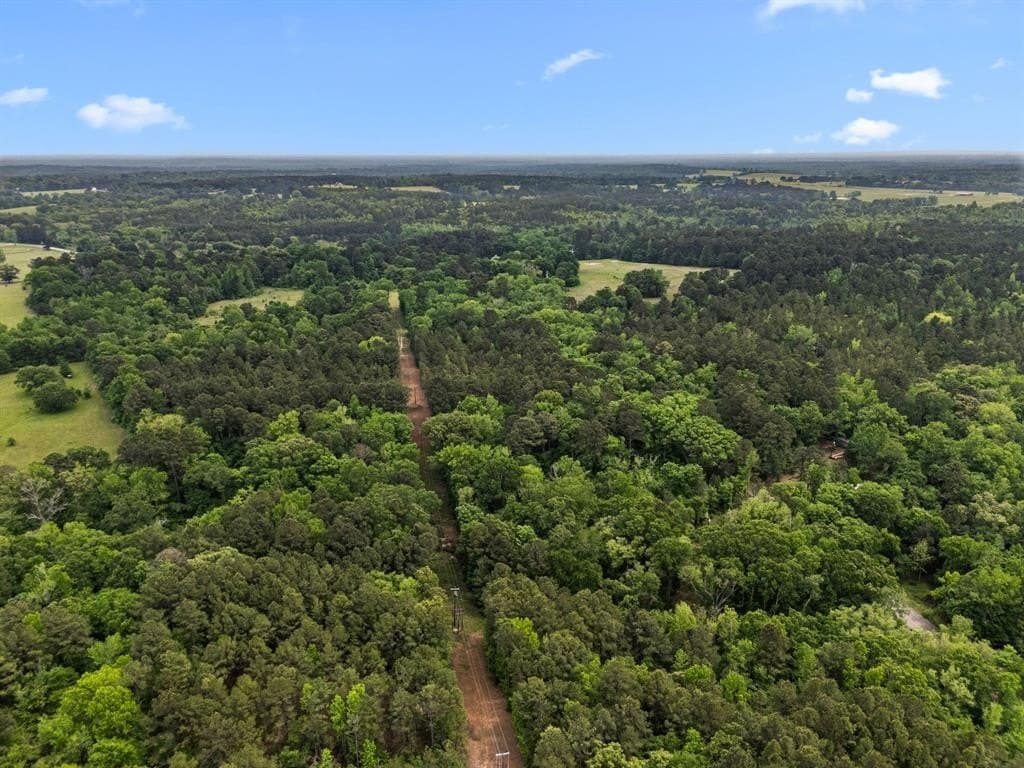 104.5 acres in Smith County - photo 3