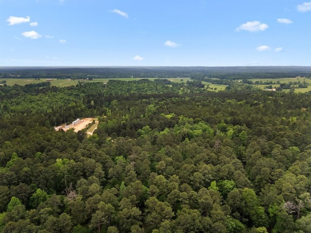 104.5 acres in Smith County - photo 16