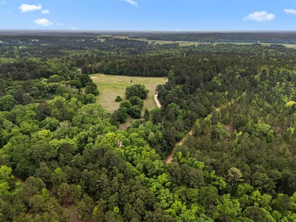104.5 acres in Smith County - photo 6