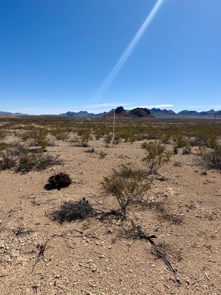 20 acres in Brewster County - photo 2