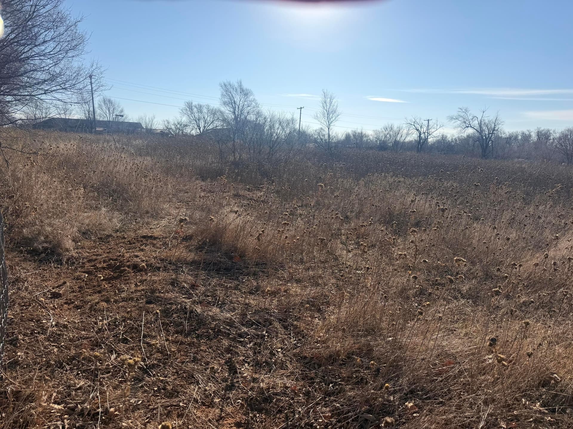 0 acres in Wheeler County - photo 5