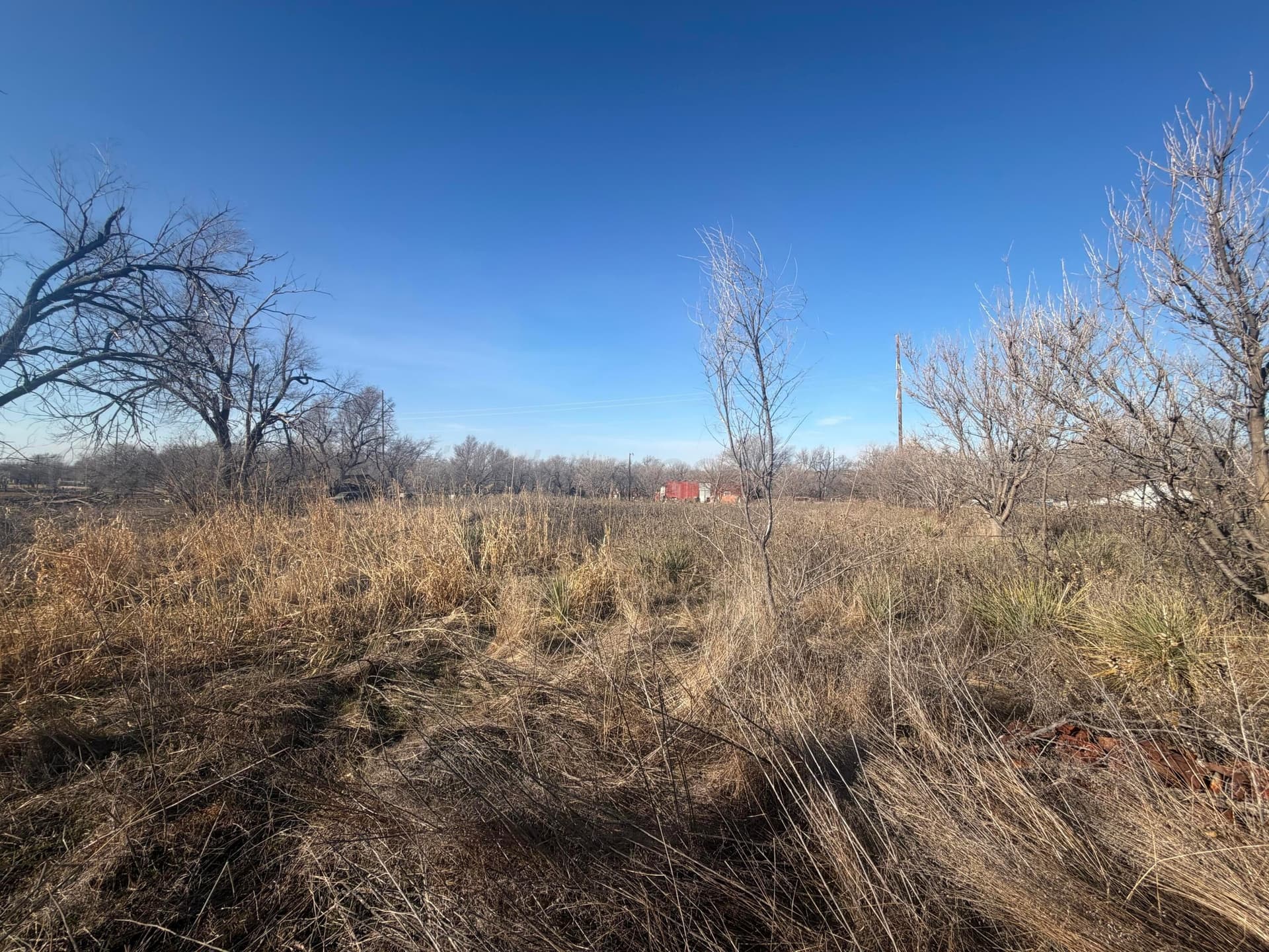0 acres in Wheeler County - photo 8