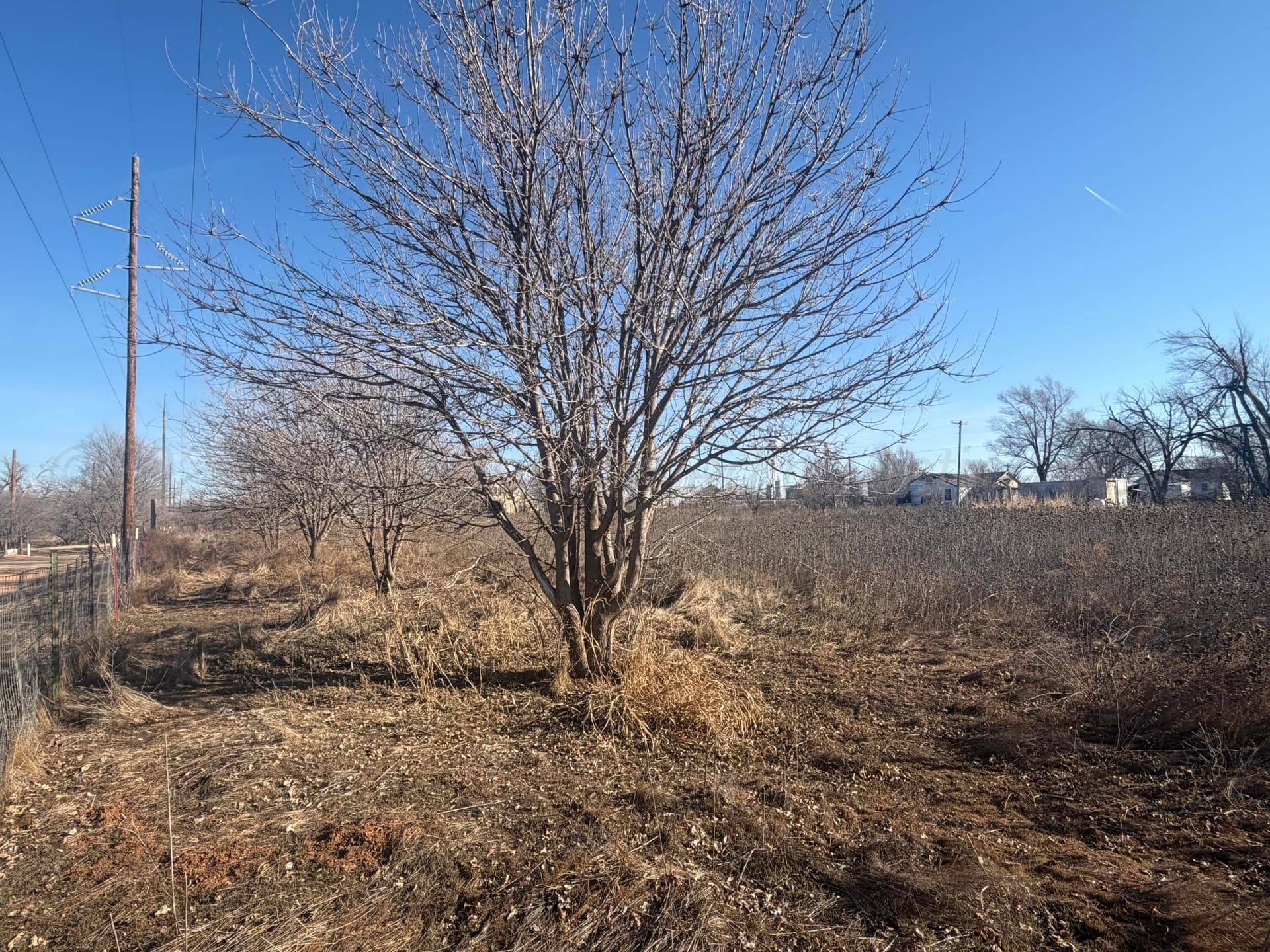 0 acres in Wheeler County - photo 2
