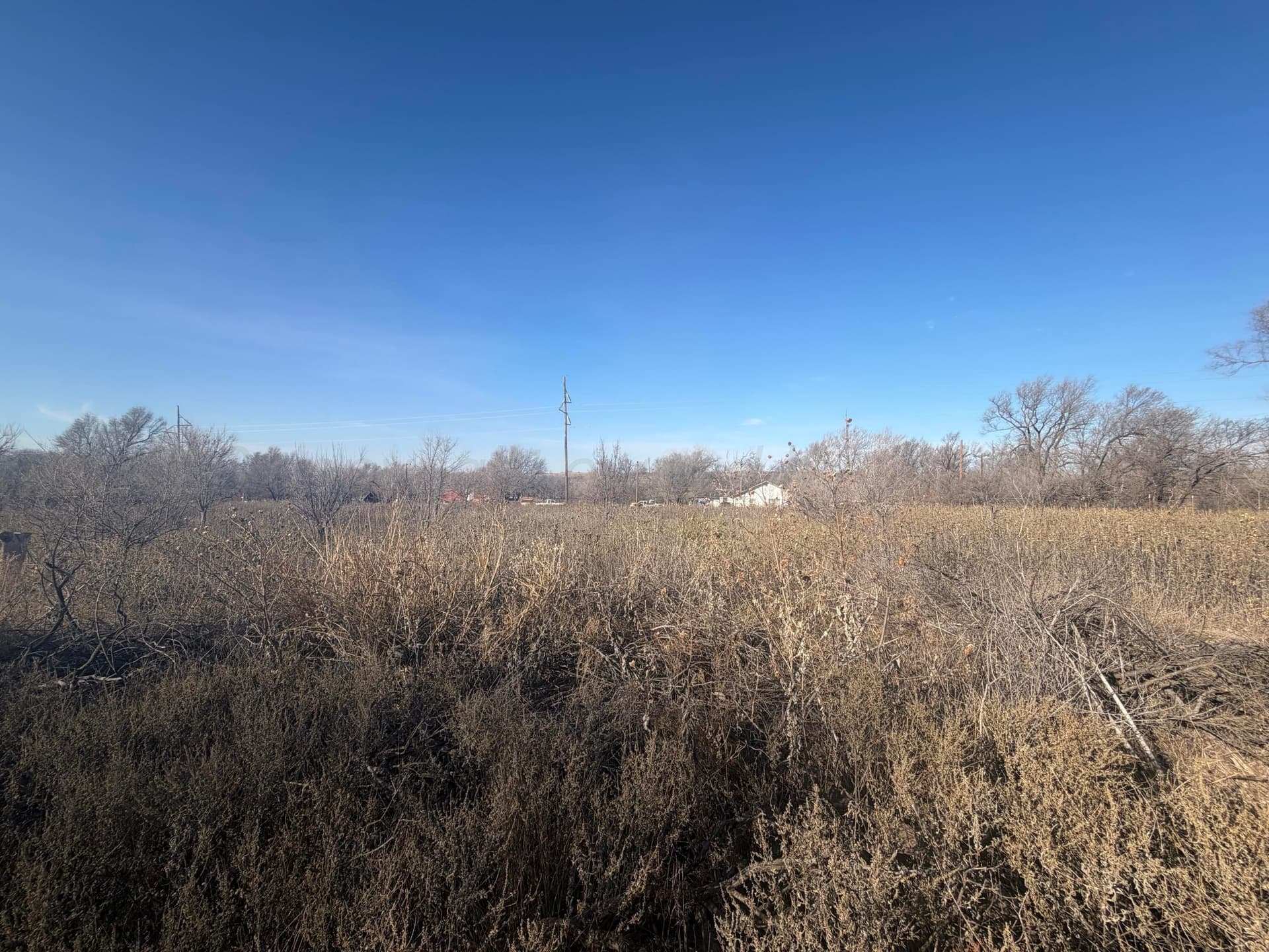 0 acres in Wheeler County - photo 6