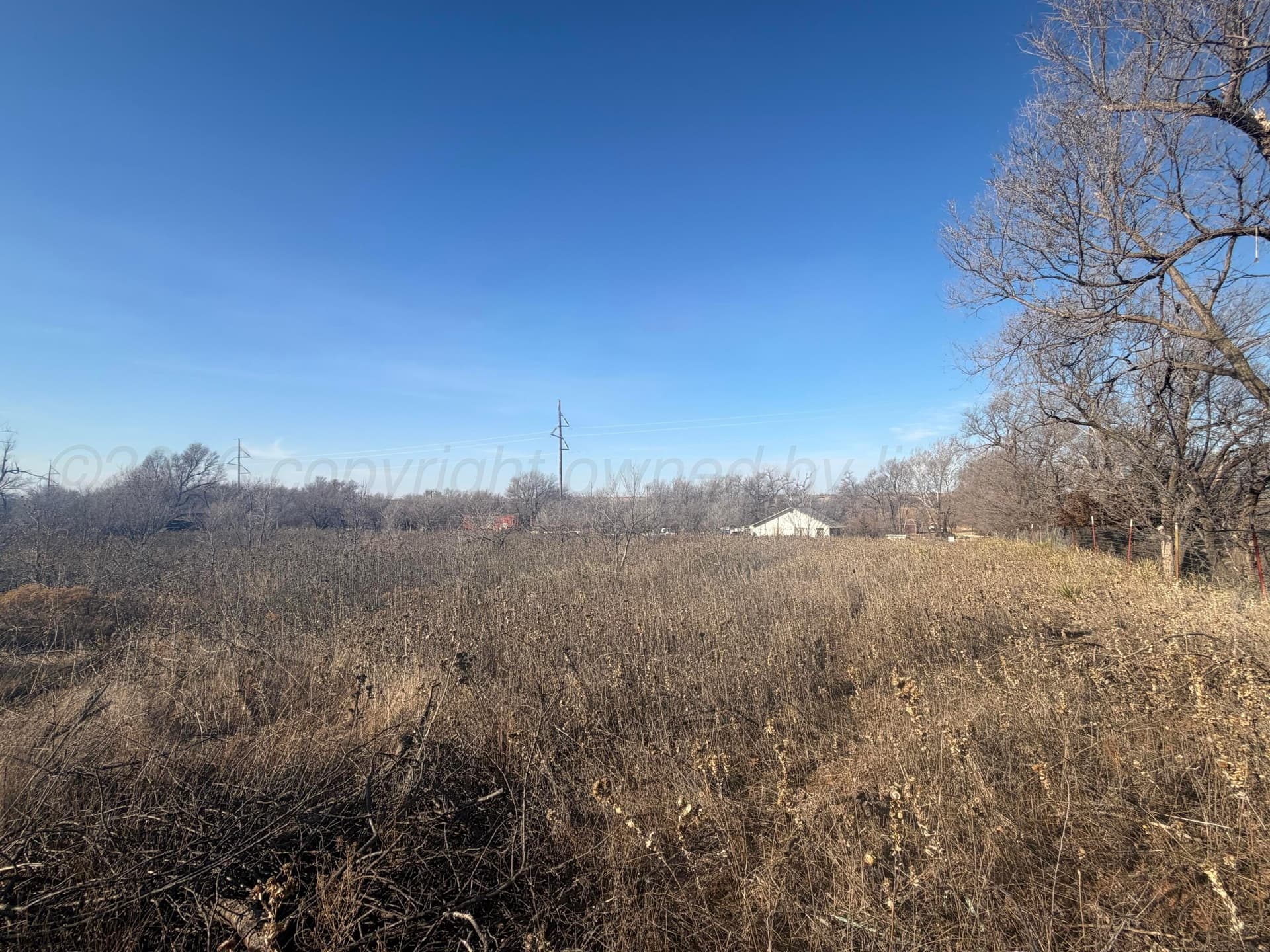 0 acres in Wheeler County - photo 9