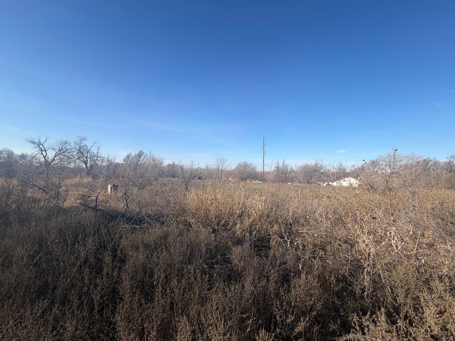 0 acres in Wheeler County - photo 7