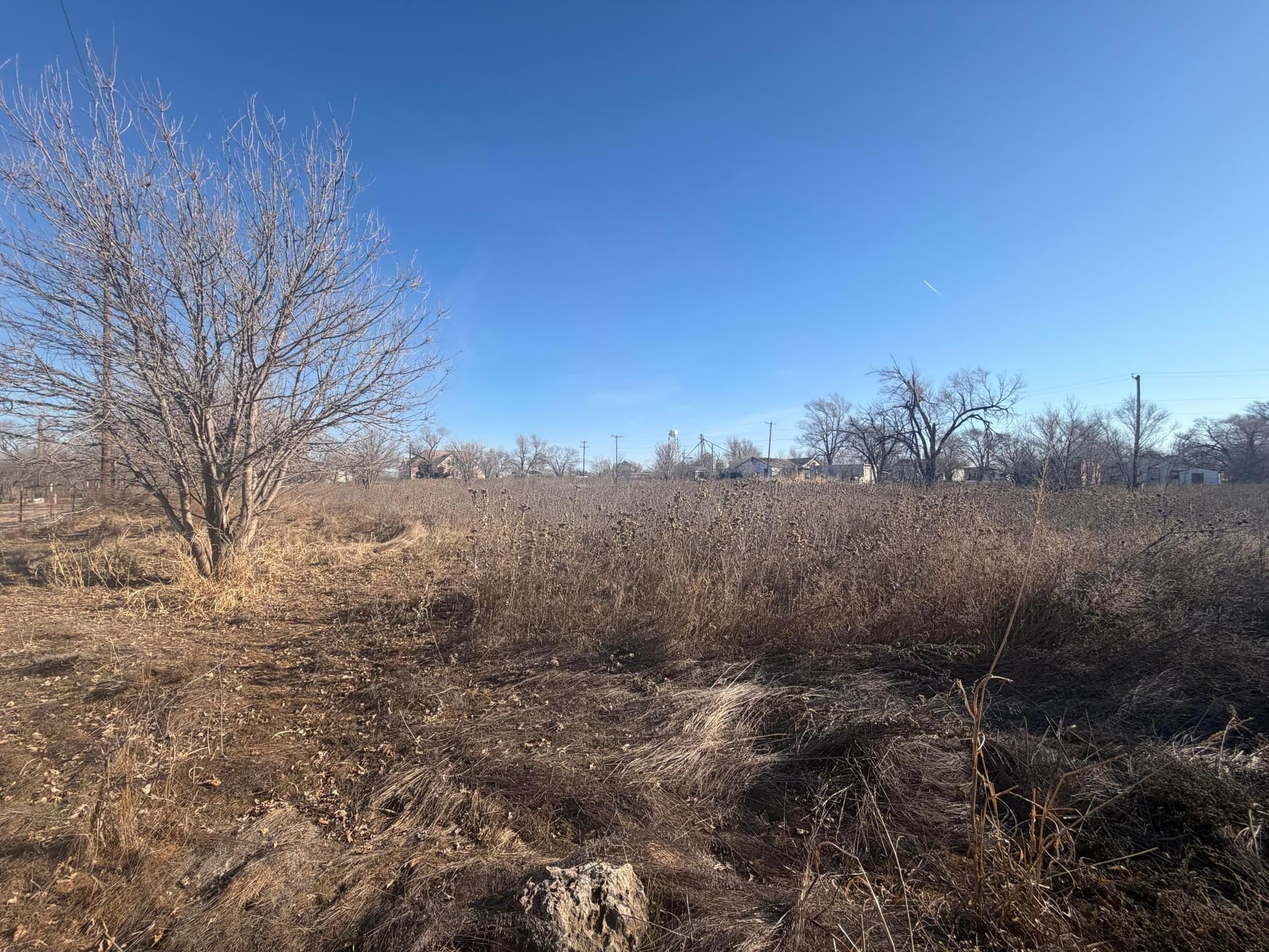 0 acres in Wheeler County - photo 4