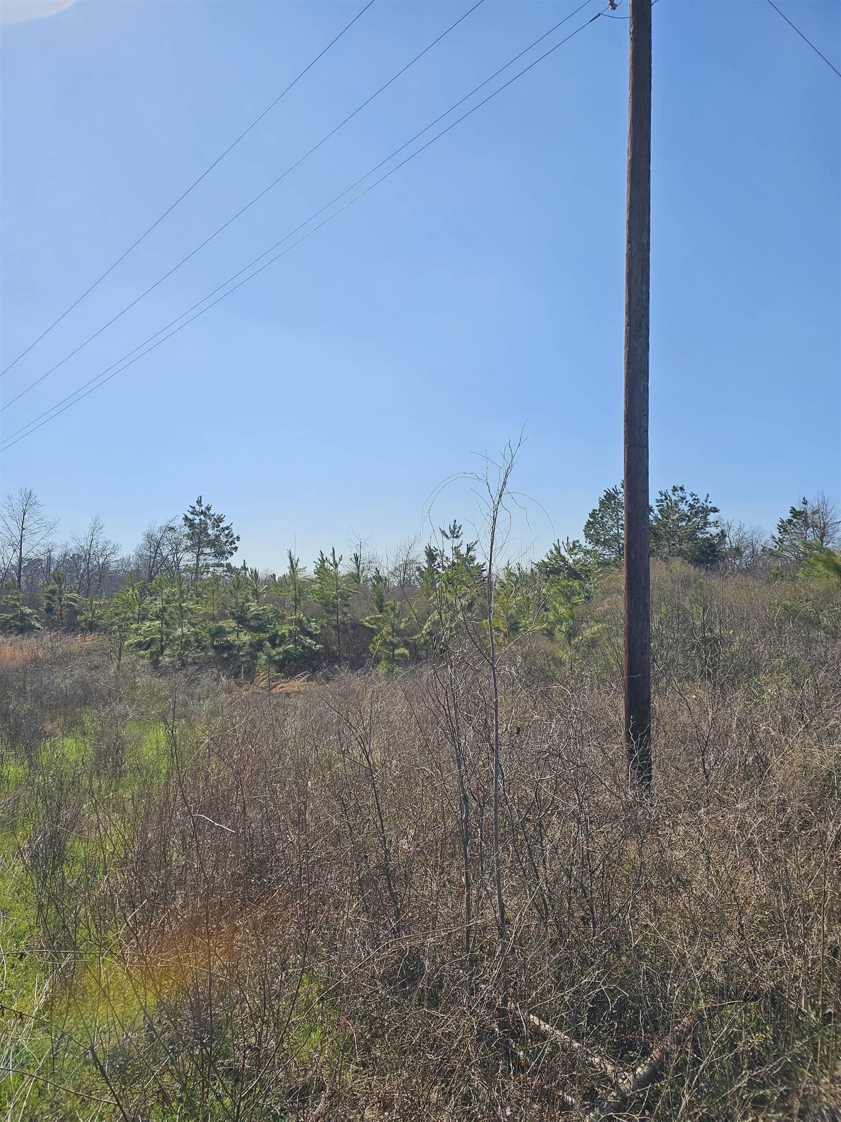 10.33 acres in Panola County - photo 8