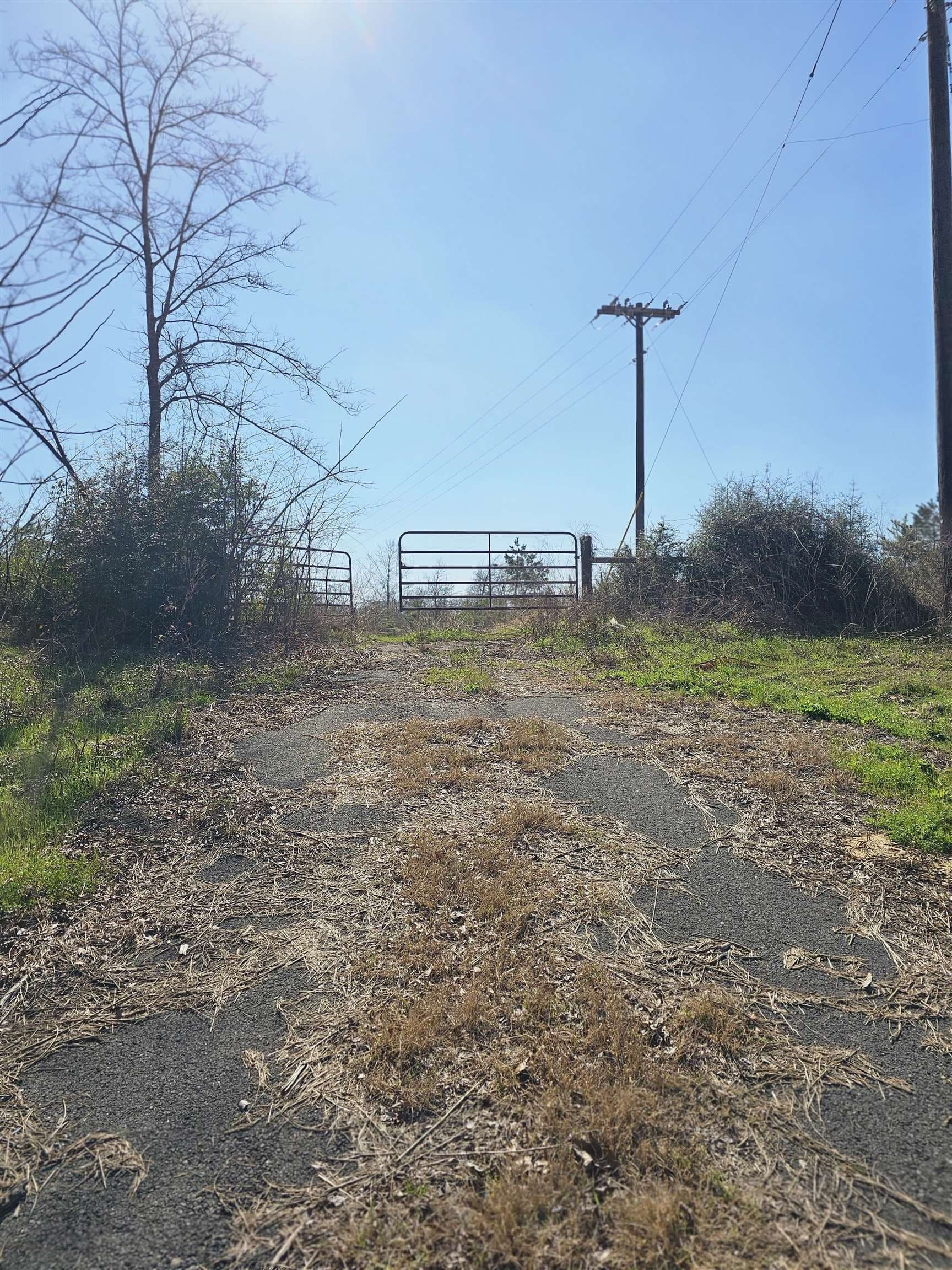10.33 acres in Panola County - photo 2