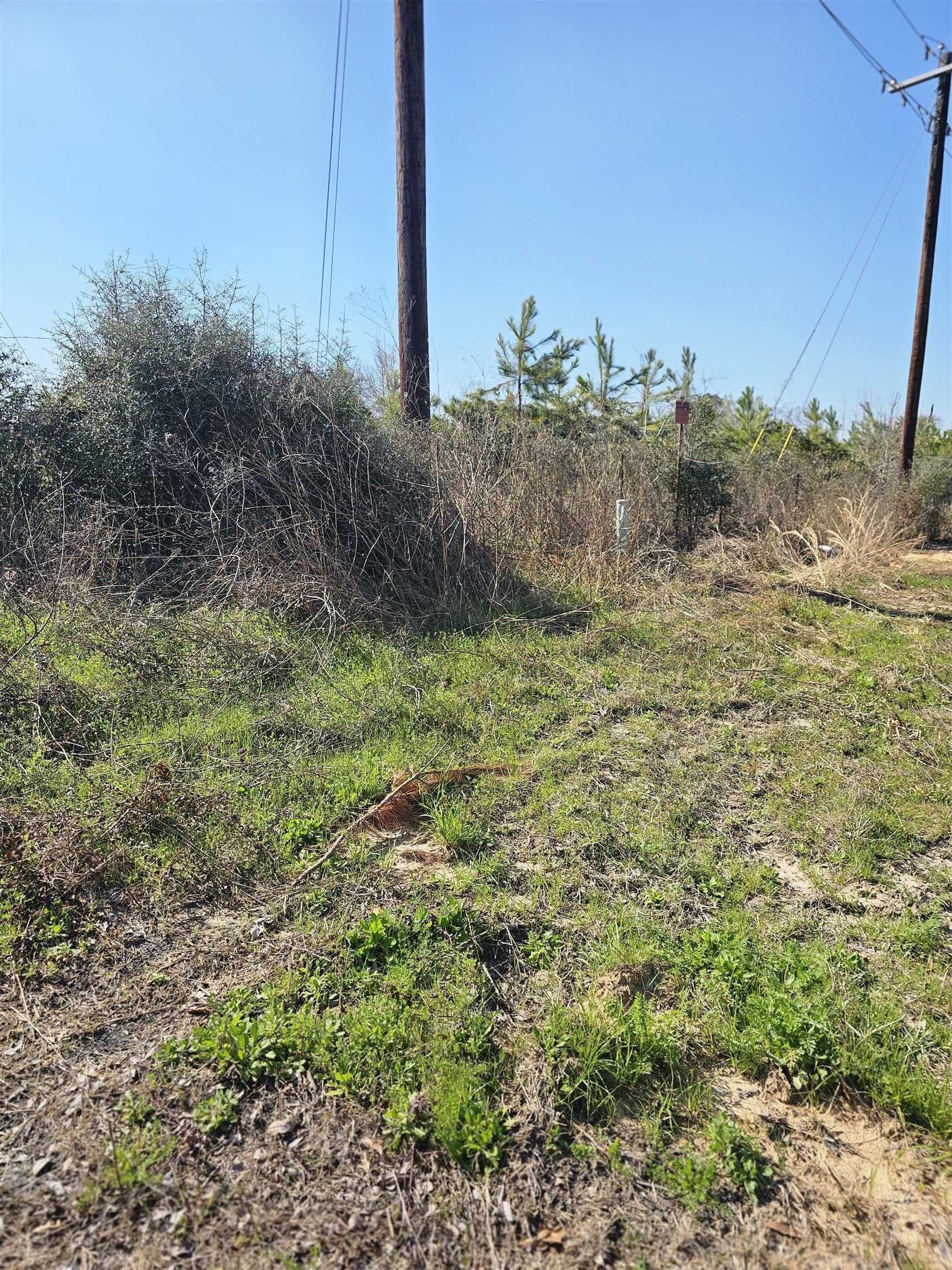 10.33 acres in Panola County - photo 3