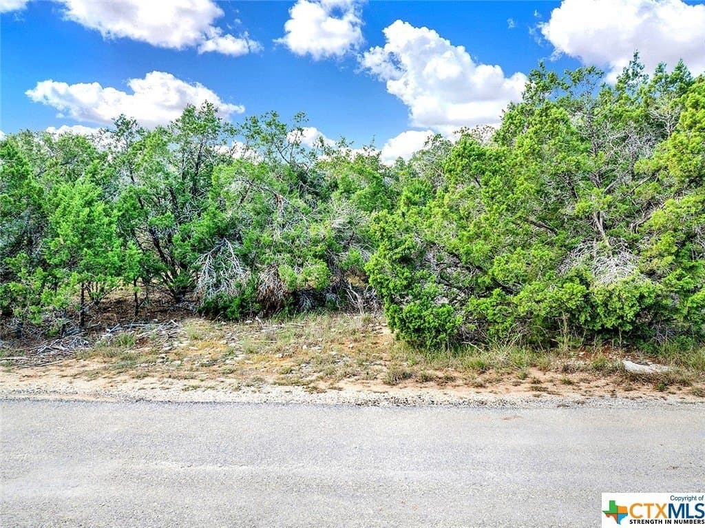 0.23 acres in Hays County - photo 3