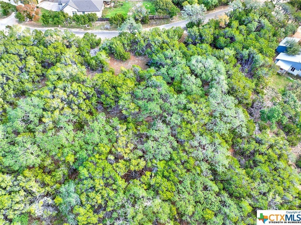 0.23 acres in Hays County - photo 8