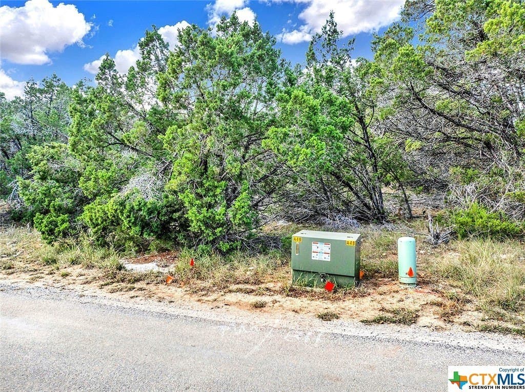 0.23 acres in Hays County - photo 2