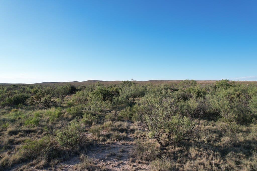 20.01 acres in Hudspeth County - photo 3