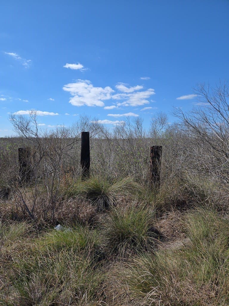 0 acres in Texas County - photo 8