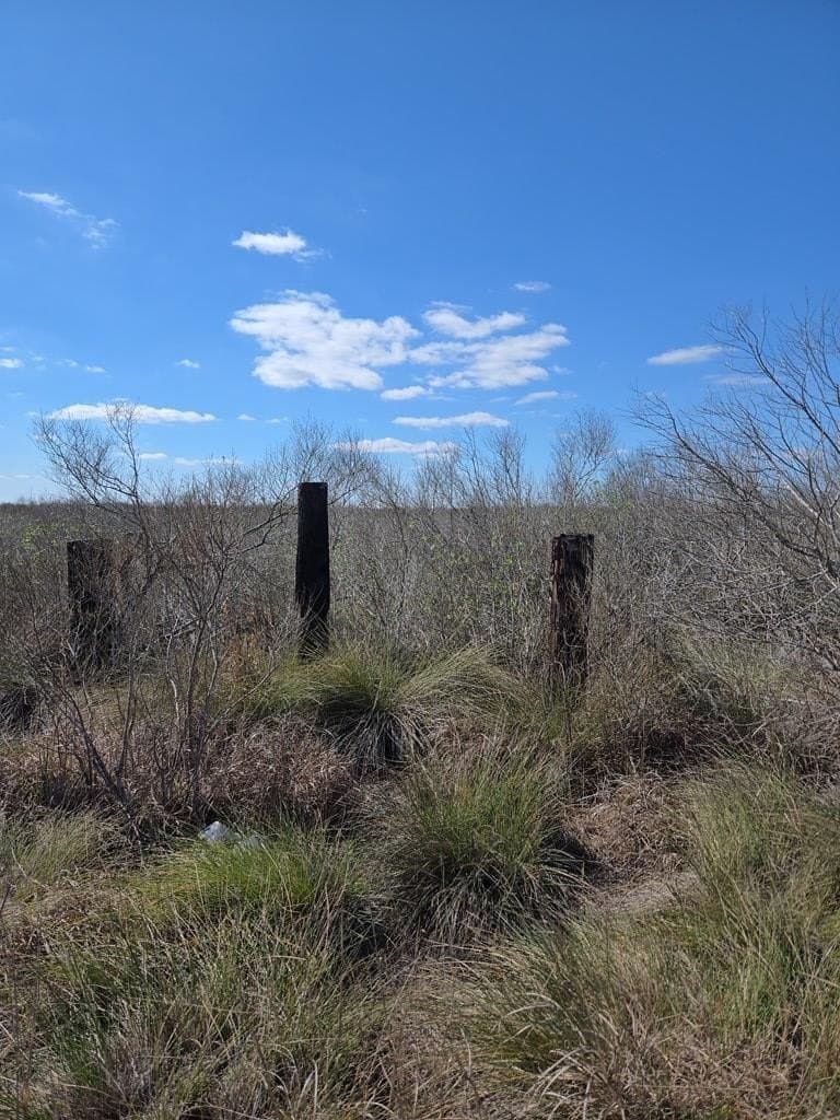 0 acres in Texas County - photo 2