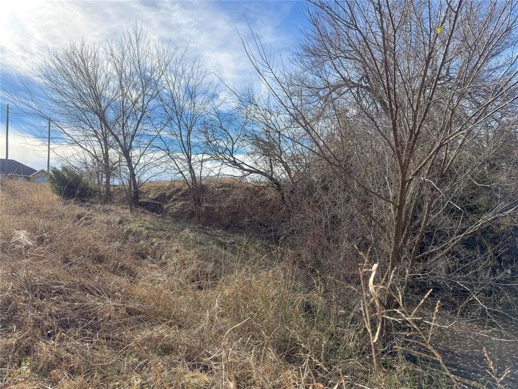 1.26 acres in Parker County - photo 5