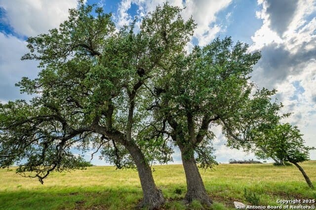 10.06 acres in Gillespie County - photo 9