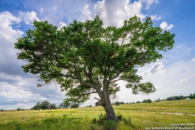 10.06 acres in Gillespie County - photo 16