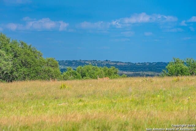 10.06 acres in Gillespie County - photo 14