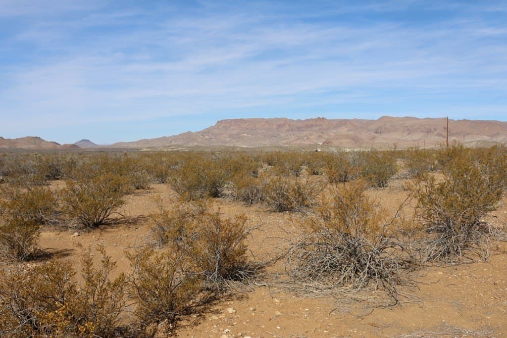 20 acres in Brewster County - photo 4
