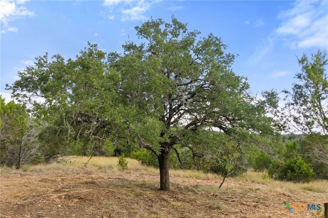 6.92 acres in Blanco County - photo 10