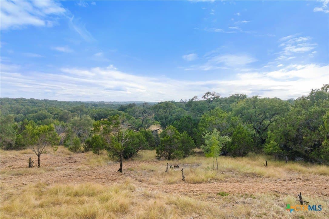6.92 acres in Blanco County - photo 6
