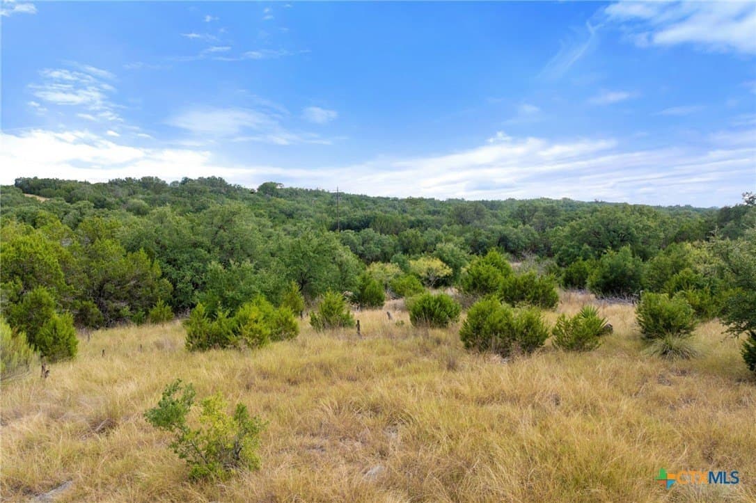 6.92 acres in Blanco County - photo 4