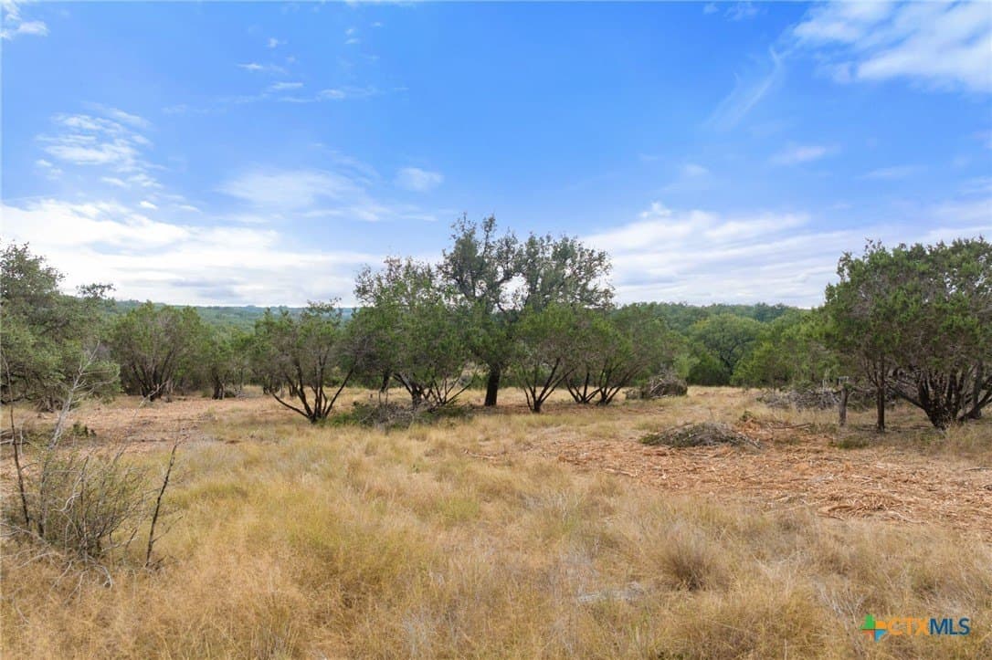 6.92 acres in Blanco County - photo 7