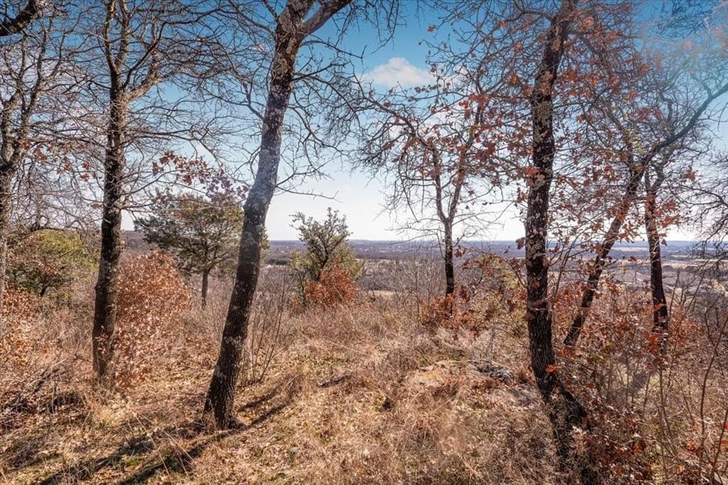 53.29 acres in Palo Pinto County - photo 2