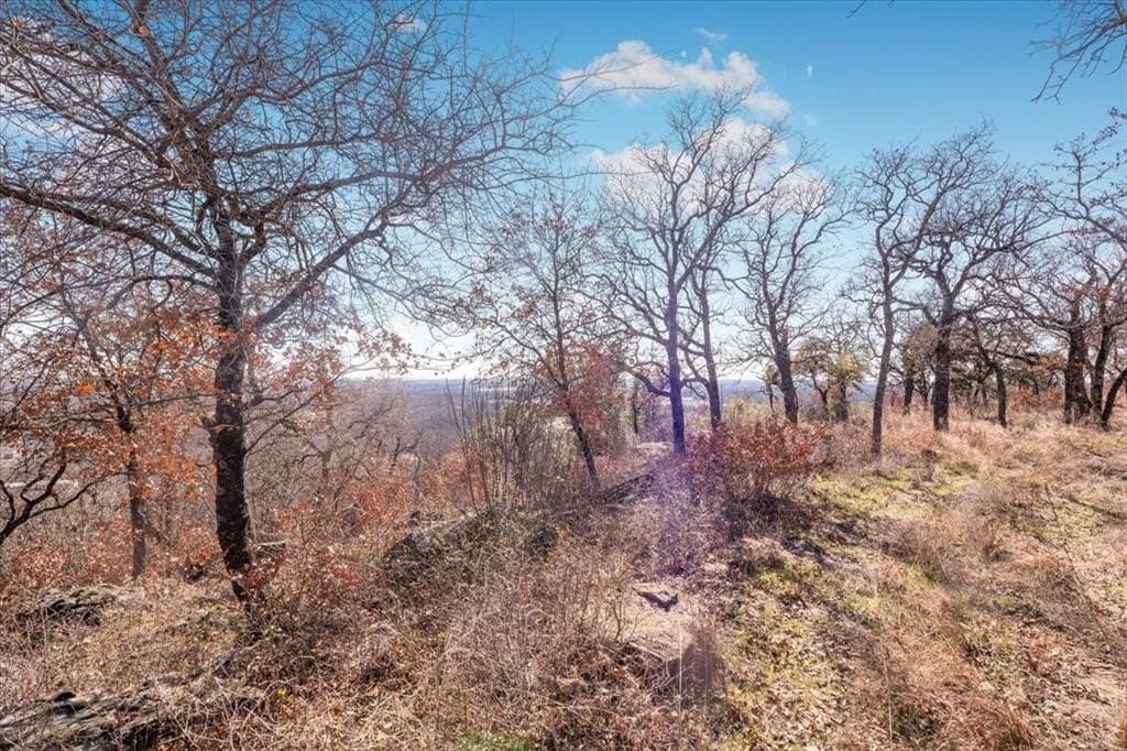 53.29 acres in Palo Pinto County - photo 5