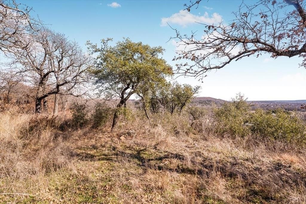 53.29 acres in Palo Pinto County - photo 8
