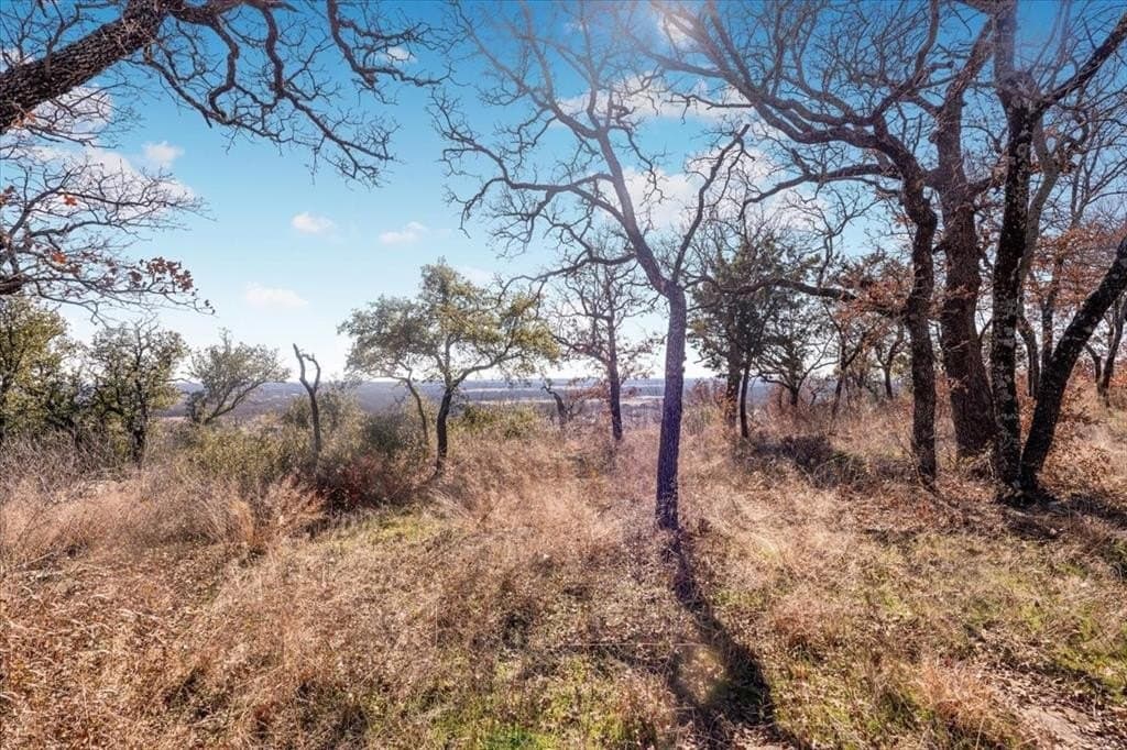 53.29 acres in Palo Pinto County - photo 4