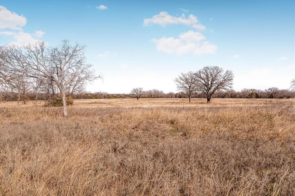 53.29 acres in Palo Pinto County - photo 6