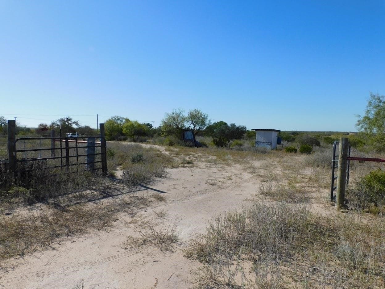 25 acres in LIVE OAK County - photo 18