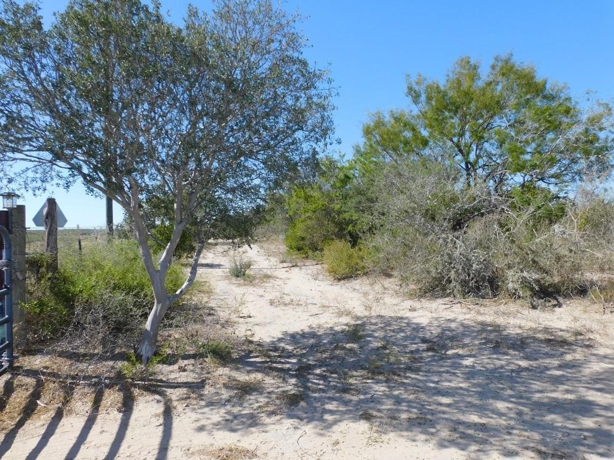 25 acres in LIVE OAK County - photo 3