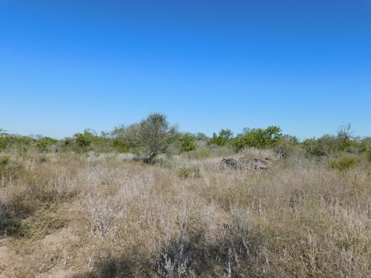 25 acres in LIVE OAK County - photo 13