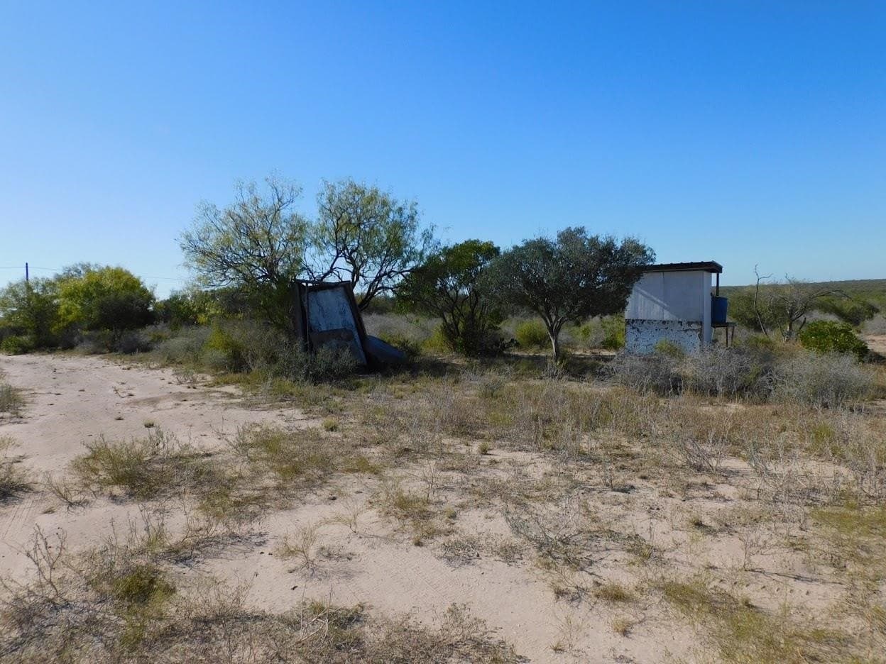 25 acres in LIVE OAK County - photo 11