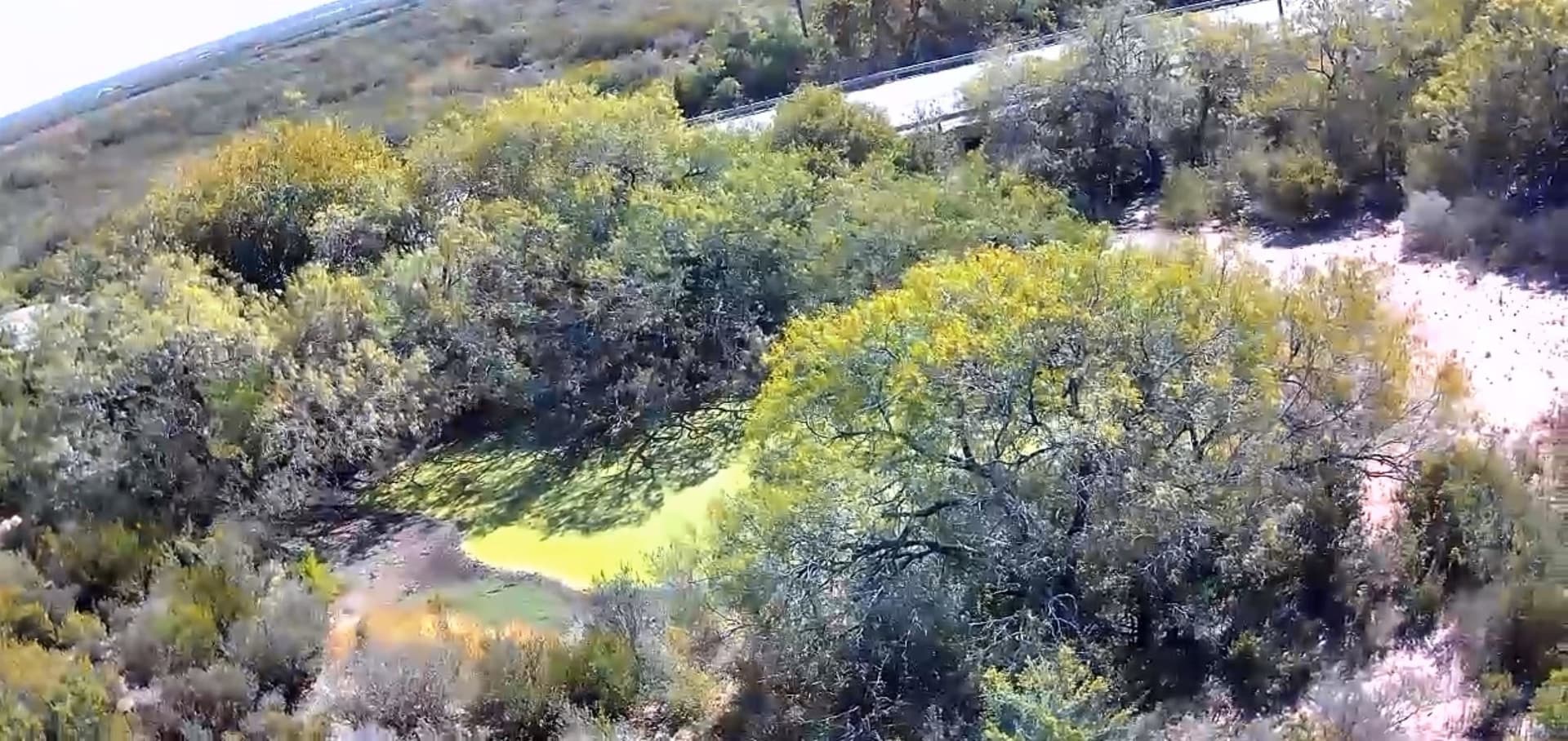 25 acres in LIVE OAK County - photo 30