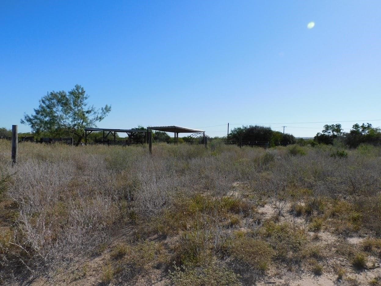 25 acres in LIVE OAK County - photo 10