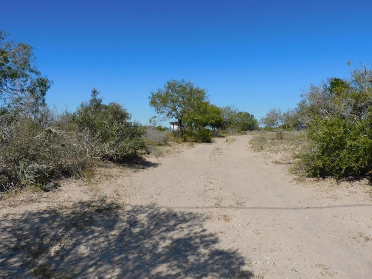 25 acres in LIVE OAK County - photo 6