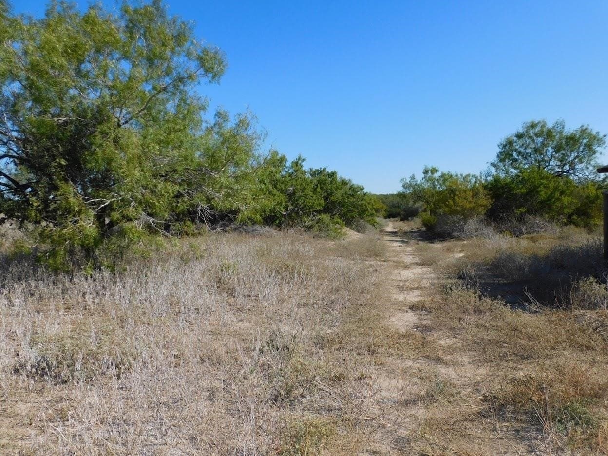 25 acres in LIVE OAK County - photo 14
