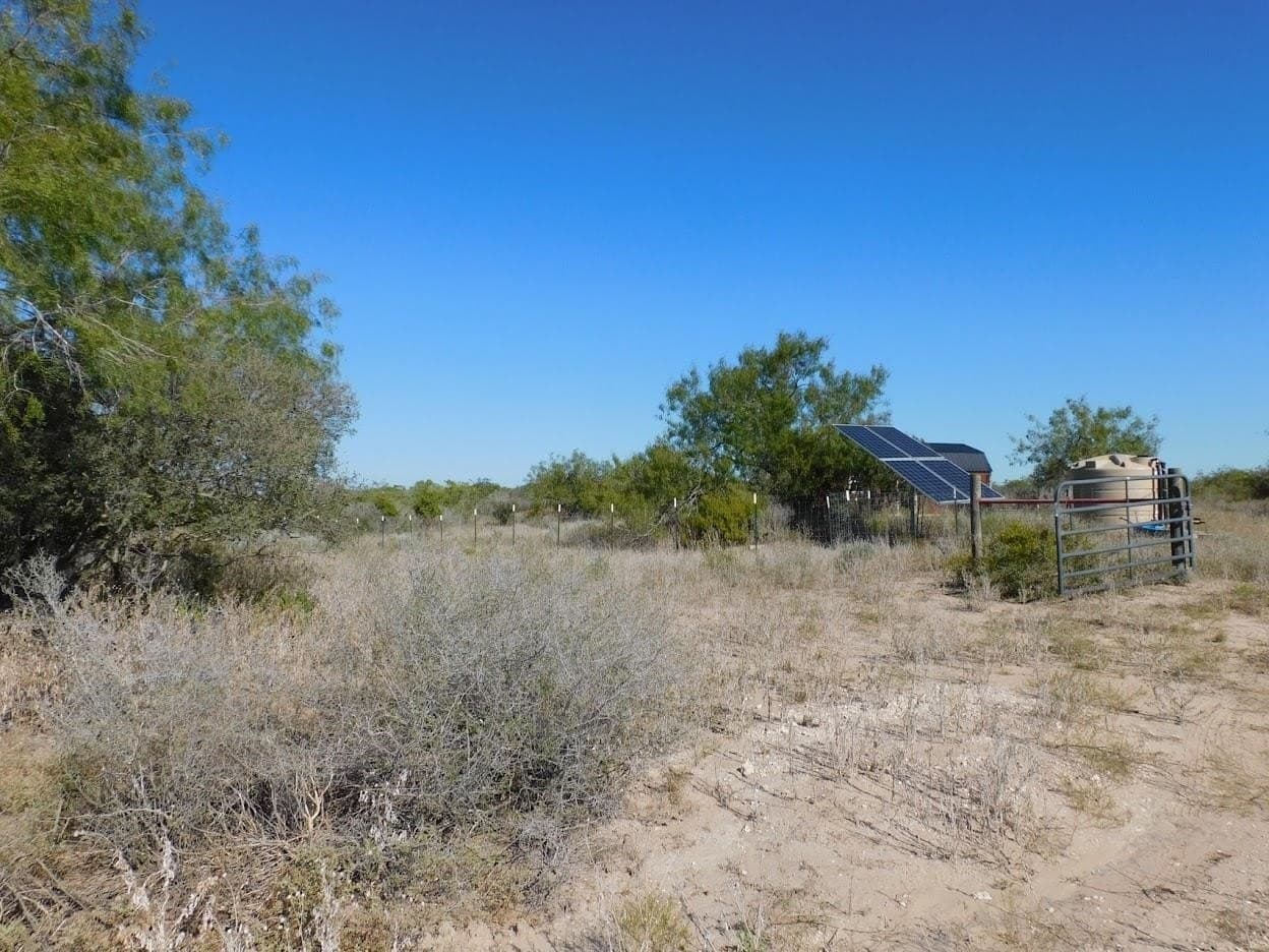 25 acres in LIVE OAK County - photo 20