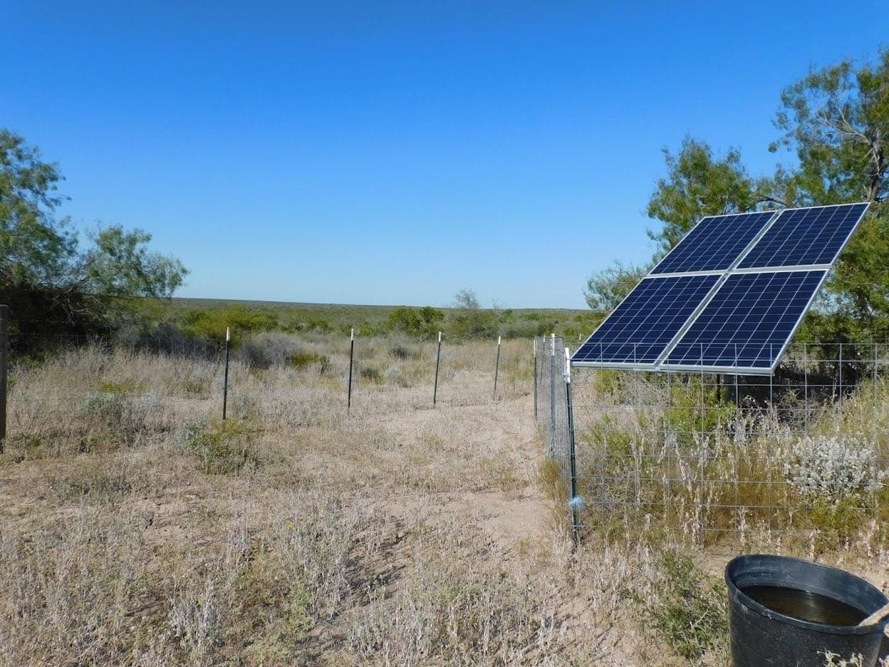 25 acres in LIVE OAK County - photo 8