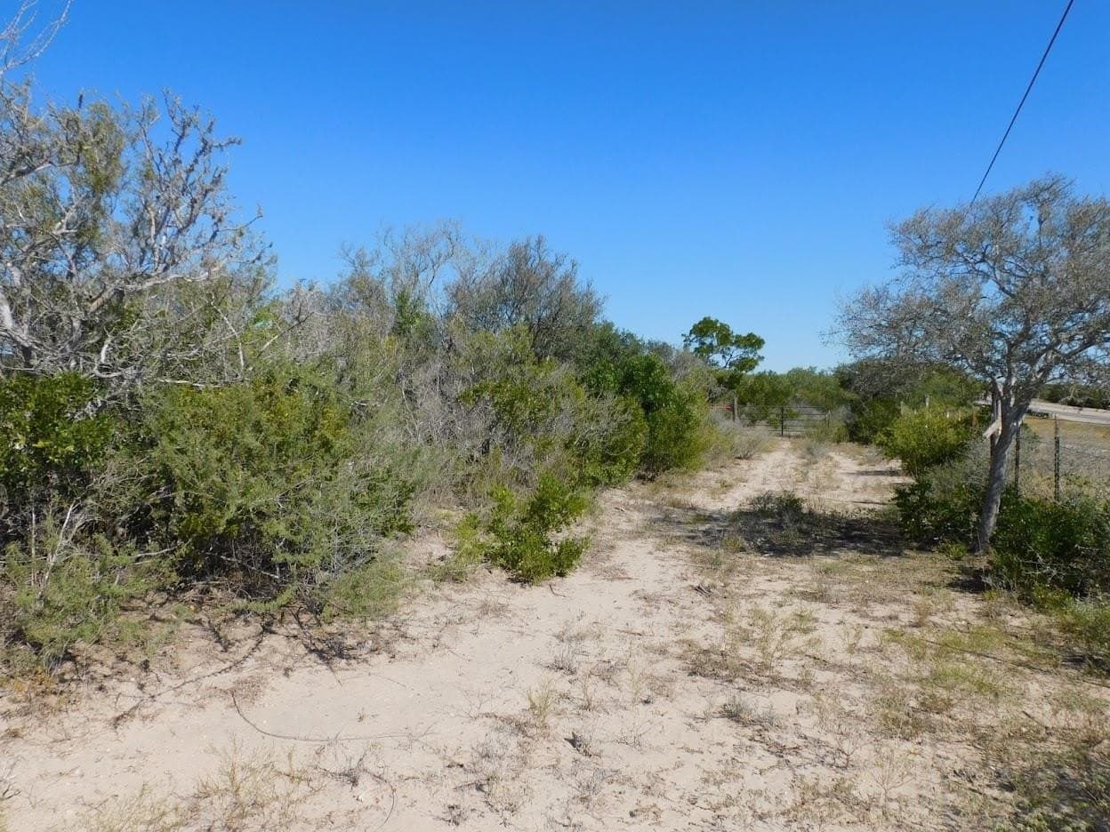 25 acres in LIVE OAK County - photo 4