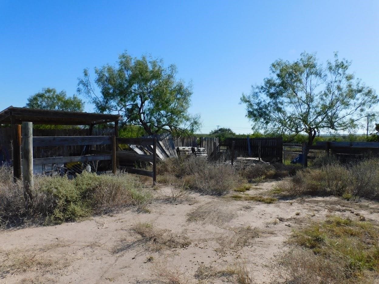 25 acres in LIVE OAK County - photo 15