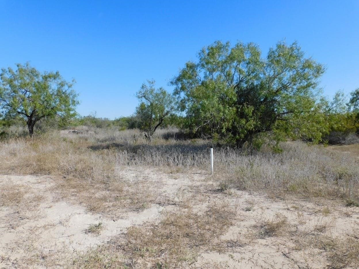 25 acres in LIVE OAK County - photo 19