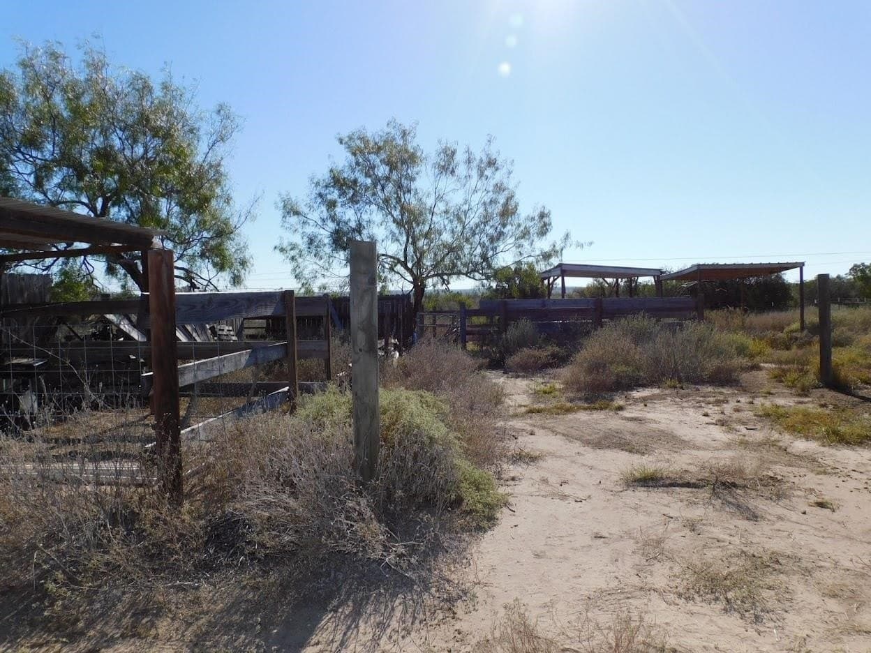 25 acres in LIVE OAK County - photo 12