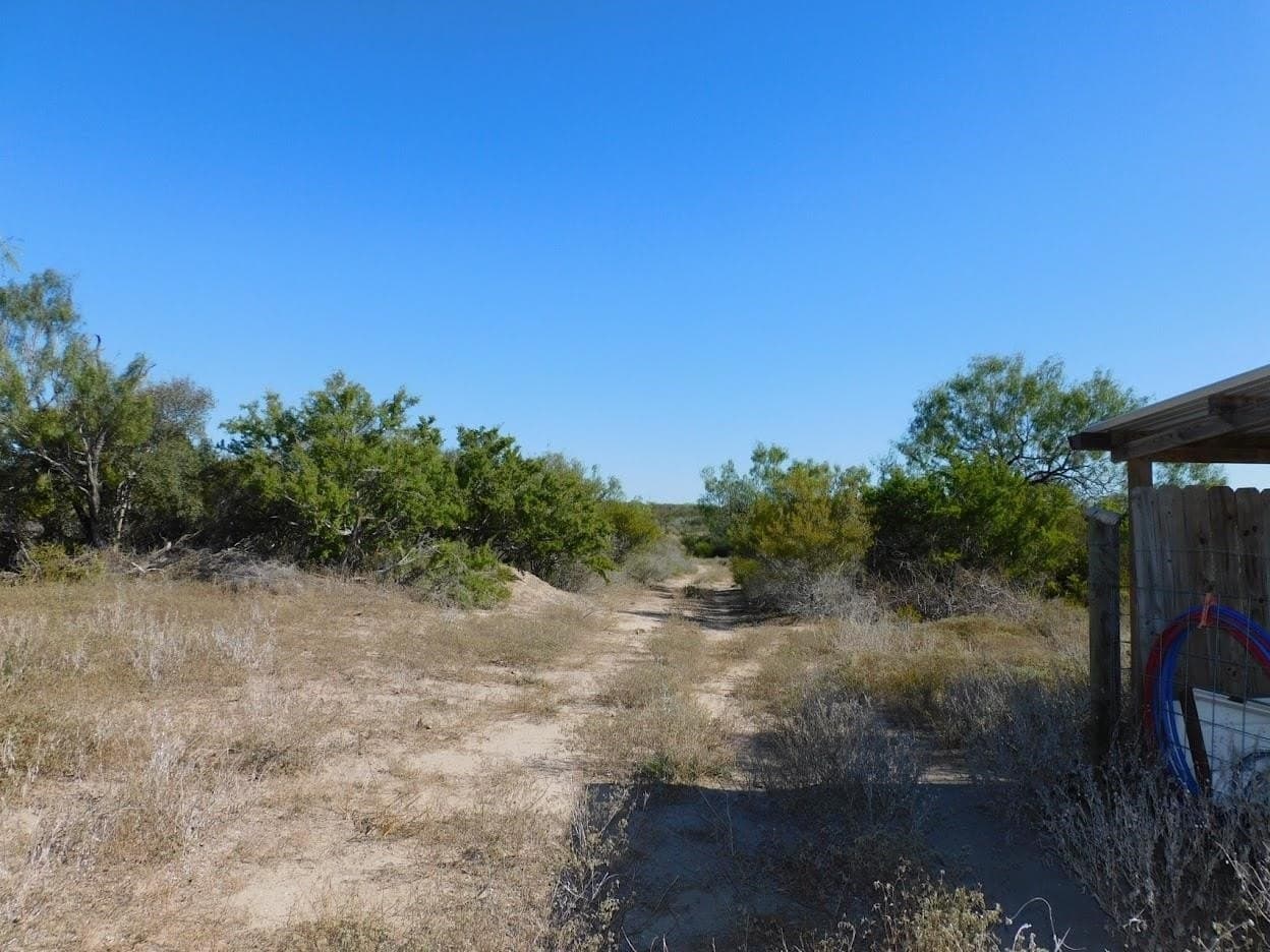 25 acres in LIVE OAK County - photo 17