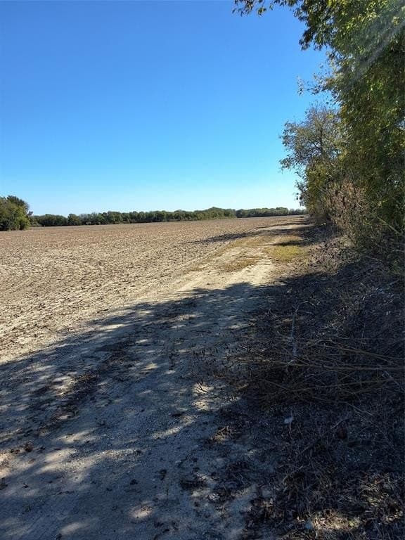59.74 acres in Hill County - photo 5